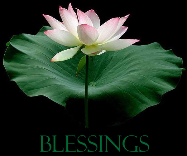 blessings-734578