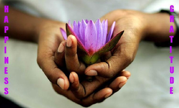 happiness-1-1-781062